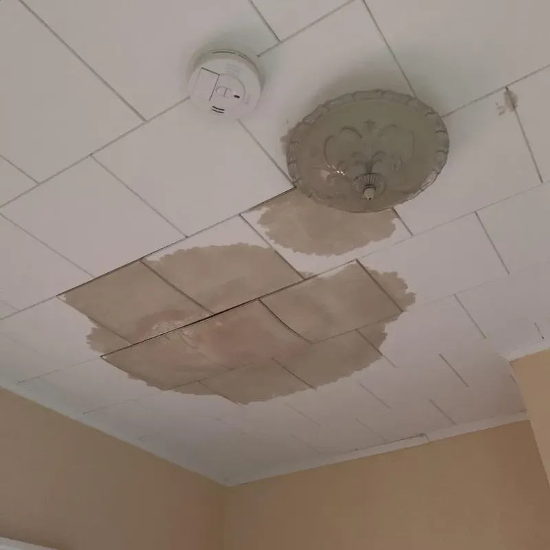 Ceiling Water Damage Repair in West Hills, PA
