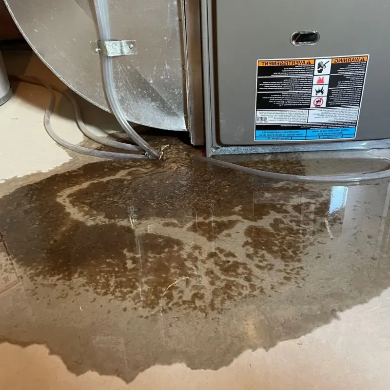 Pipe Burst and Leak Restoration in West Hills, PA